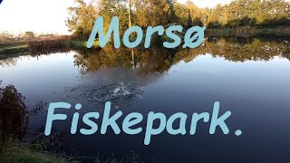 Morsø Fiskepark  Impulsiv Søndagstur [upl. by Burnard]