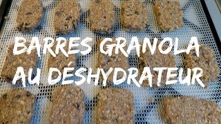 Comment faire des barres granola au déshydrateur │ Vlog ski Ax 3 Domaines [upl. by Porta293]