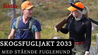 Skogsfugljakt med stående fuglehund 2023  del 12 [upl. by Pat]