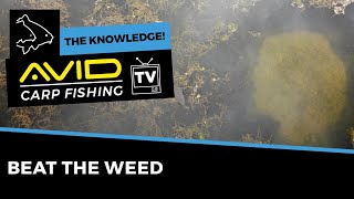 HOW TO FISH IN WEED  Carp Fishing The Knowledge [upl. by Ainahtan]