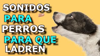 Sonido de Perro 🐶 🐶 Los mejores LADRIDOS DE PERROS 🐶 [upl. by Tammara102]