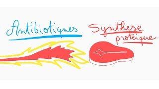 🔴 ANTIBIOTIQUES CONTRE LA SYNTHESE PROTEIQUE EN 10 MIN   DR ASTUCE [upl. by Rialc]