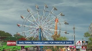 Parkville Days ends early [upl. by Fruma]