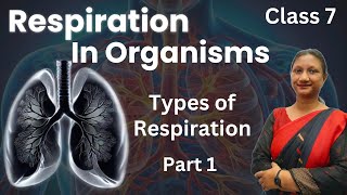 Class 7 Science Chapter 6  Respiration In Organisms  Ncert  Part 1 [upl. by Asina]