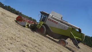 MOISSON DE L EXTRÊME en montagne  CLAAS LEXION 530 MONTANA FOUR WHEEL DRIVE Fin de champ difficile [upl. by Yablon]