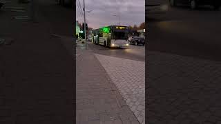 BACAU Irisbus Crossway BC75STP 22 31102024 Candycrush02 [upl. by Barrie]