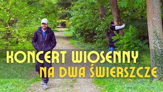 Koncert wiosenny na dwa świerszcze  na żywo 🔴 [upl. by Ettenad]