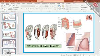 ESPIROMETRIA FISIOLOGIA PRACTICA [upl. by Inman]