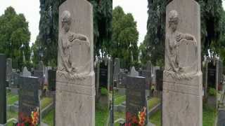 Der Ottakringer Friedhof in 3D [upl. by Annasor]