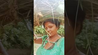 Alicorn videos bhojpuri [upl. by Leuneb]