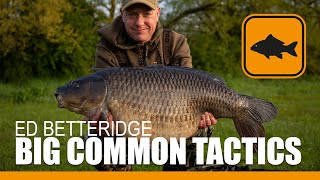 Carp Fishing Big Common Tactics  Ed Betteridge [upl. by Bartolemo]