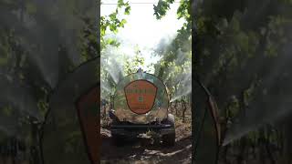 Mitra sprayer machine  Tractor Trailed Sprayer  Sprayer for Grapes Orchard  Air Assisted Sprayer [upl. by Aihsatal]