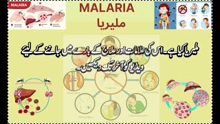 malaria  malirya  मलेरिया [upl. by Napra382]