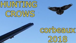 CROW SHOOTING ou TIR DE CORBEAUX ET CORNEILLES 2018 [upl. by Keiryt]