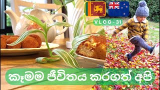 නවසීලාන්කික සිංහල vlog  😍 කෑමම ජීවිත‍ය කරගත් අපි 😋  New Zealand  Sri Lankan  Sinhala vlog [upl. by Gerardo273]