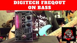 Dont FreQout Its just the DigiTech FreQout on bass [upl. by Steep]