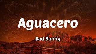 Bad Bunny  Aguacero Letras [upl. by Marb283]