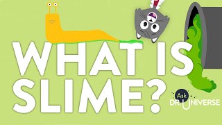 What Is Slime [upl. by Alrep]