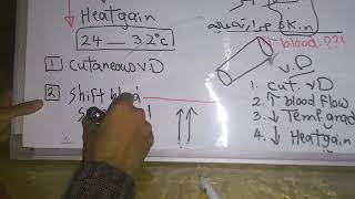 Thermoregulatory response to Cold continued  Hot weather dr mohamed fayez [upl. by Eimareg380]