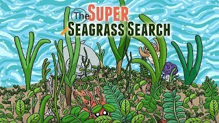 The Super Seagrass Search [upl. by Kassi]