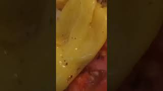 Friday Foods Chicago Style Hoagie Sandwich 🥪 viral food foodie shorts [upl. by Nwahsem]