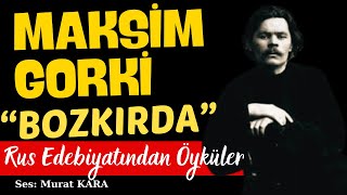 Maksim Gorki quotBozkırdaquot Rus Edebiyatından Sesli Kitaplar [upl. by Ettedualc]