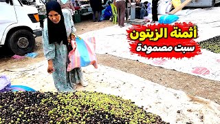 جولة في سوق السبت ديل مصمودة ومعرفة أتمنة الزيتون و إعداد السمك المقلي على الكانون [upl. by Caitlin]