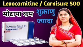 levocarnitine tablets ip carnisure 500 carnisure 500 uses in hindi  carnisure 500 [upl. by Airogerg]