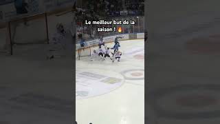 Quel jeu d’équipe  😍 hockey marseille nhl spartiatesdemarseille [upl. by Byrann202]