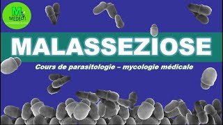 MALASSEZIOSE cours de parasitologiemycologie [upl. by Kirkwood352]