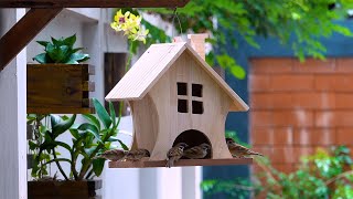 CREATE a Wooden Bird Feeder in MINUTES with Simple Tools [upl. by Antoni]