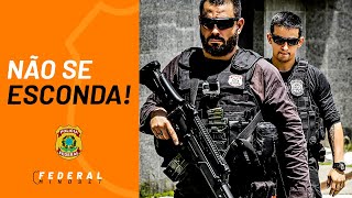 Quer mirar minha cara F  Polícia Federal  Motivacional  Status [upl. by Rehpotsirahc]