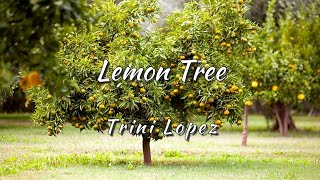 Trini Lopez ー Lemon Tree [upl. by Kamin]