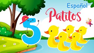 🐥 Cinco Patitos Aventureros  ¡Canta y Aprende con Nosotros 🎵 [upl. by Eelytsirk259]