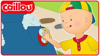 Caillou Does Chores  Caillous New Adventures  Season 4 Episode 4 [upl. by Nylkoorb]