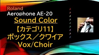 Aerophone AE20 音色 【カテゴリ11 ボックスクワイア】 [upl. by Alyhc]