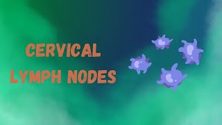 Neck Lymph Nodes  Lymph Nodes of the Neck  How to Palpate Neck Lymph Nodes [upl. by Ottie]