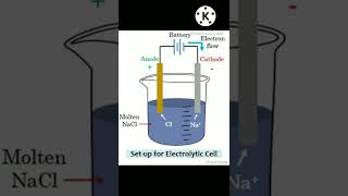 CATHODE and ANODE class 10 electrolytic cell chemistry chemistry [upl. by Enaelem]