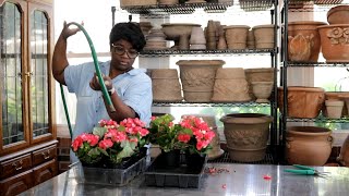 ADDING SUMMER COLOR TO MY COTTAGE GARDEN WINDOW BOX  GARDEN QUEEN [upl. by Traci]