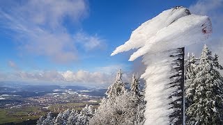 Bavarian Forest – Magic Winter [upl. by Eatnoed]