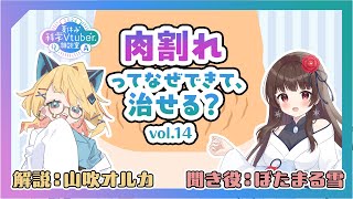 肉割れはなぜできて、治せる？【夏休み科学VTuber相談室2024 vol14】 [upl. by Liagibba]