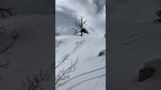 Snowboard testing 🤝 snowboard snowsport snowboarding jump extremesport crash wintersport [upl. by Snave]