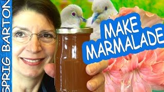 How to Make THE BEST MARMALADE Recipe LEMON MARMALADE ORANGE MARMALADE Lemon Jelly Sprig Barton [upl. by Bradan]