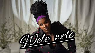 HarryCane  WELE WELE ft liloca Nkosazana daughter amp Ngwazi type beats [upl. by Llednek]