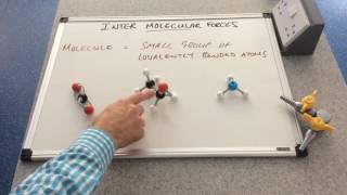 Intermolecular Forces Intro [upl. by Einotna257]