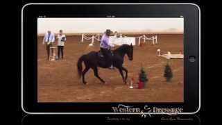 ERAHC VA Classic Horse show Working Equitation quotSpeedquot [upl. by Kennie345]