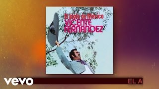 Vicente Fernández  El Arracadas Cover Audio [upl. by Harman]