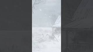 Warm Winter Snowstorm ❄️shorts shortsvideo winter snowstorm snowfallsnow [upl. by Gerhardt]