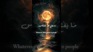 Soul soothing reaction of Quran [upl. by Nifares]