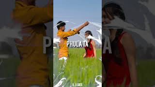 odiasongstatus A sakala suneli phula ta chagali from HS edits [upl. by Eedia]